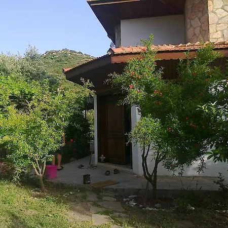 Villakoza