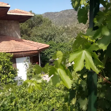 Villakoza *